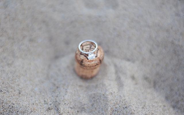 art institute chicago and oak street beach engagement photos