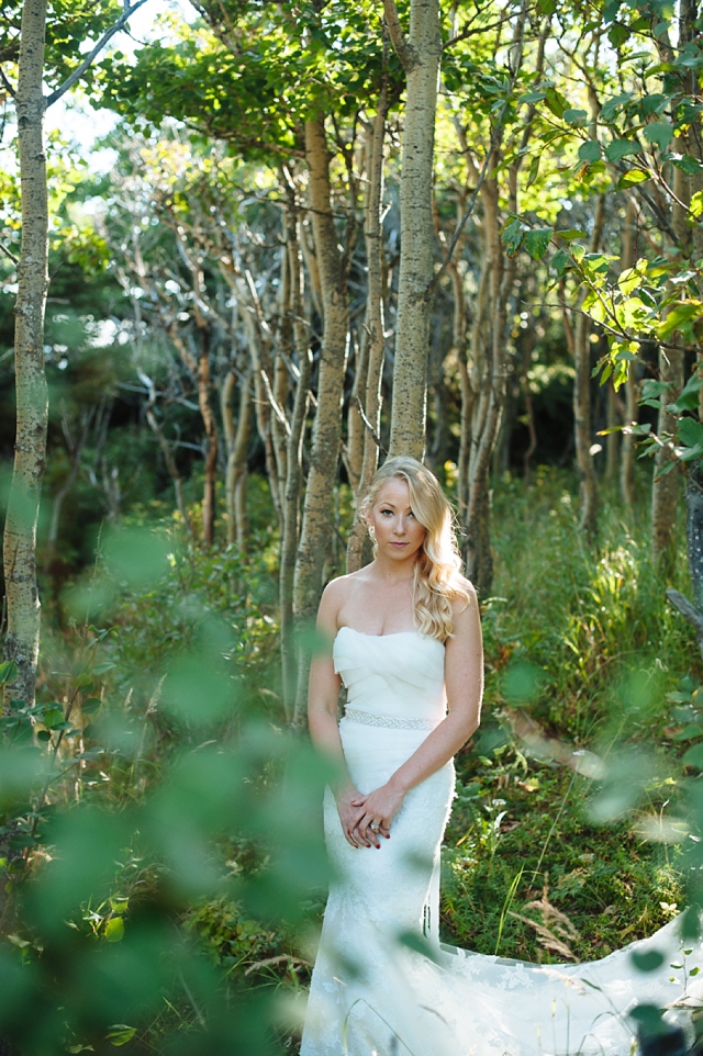 Anchorage bridal portraits in Alaskan forest