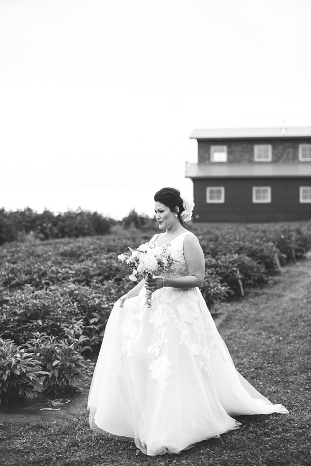 homer wedding photographers -47